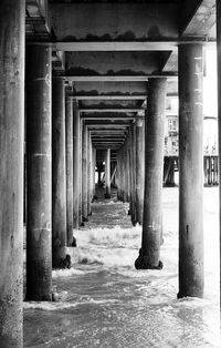 Under the boardwalk 