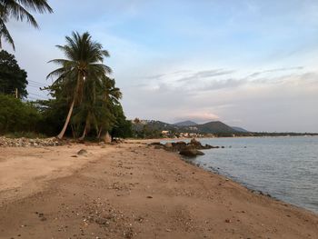 Scenic view of beach against sky
