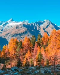 Scenic view of snowcapped mountains against clear sky
