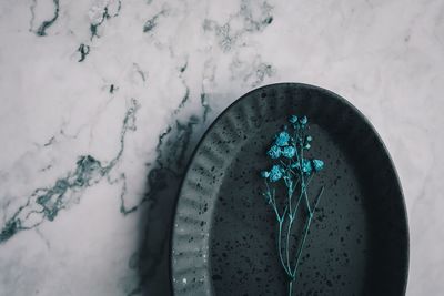 High angle view of snow on table