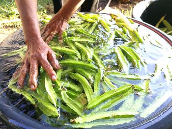 Close-up of person preparing food