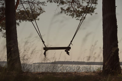 Children's swing hanging from trees. coast of the lake. no people