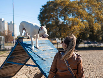 Rear view of woman with dog on field