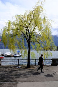 Rear view of man walking by plants against sky