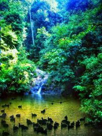 Scenic view of waterfall