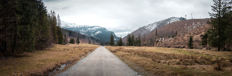 Road amidst trees and mountains against sky. koscielska valley. tatra mountains