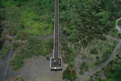 A young couple enjoys a hike on a boardwalk in the pacific northwest.