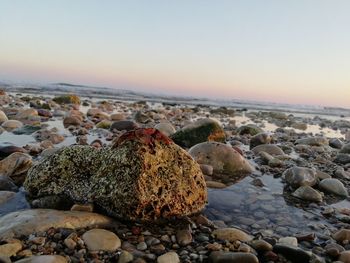 Rocks on beach against sky during sunset