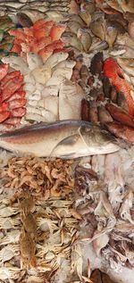 High angle view of fish for sale in market