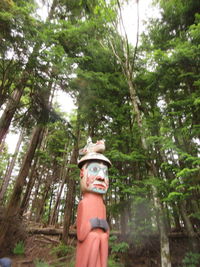 Man photographing on tree in forest