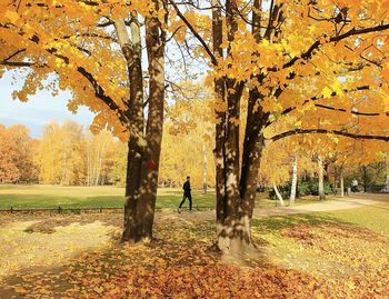 Men on road amidst trees against sky during autumn