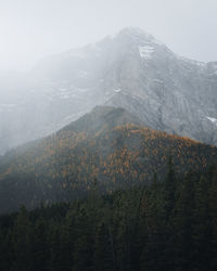 mountain