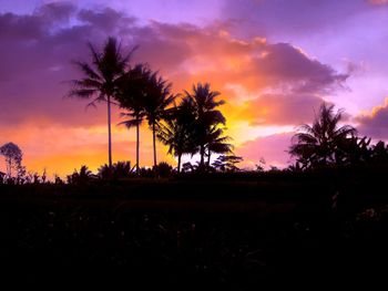 Silhouette palm trees against sky during sunset