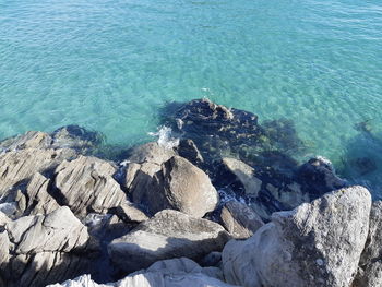 High angle view of rocks on beach