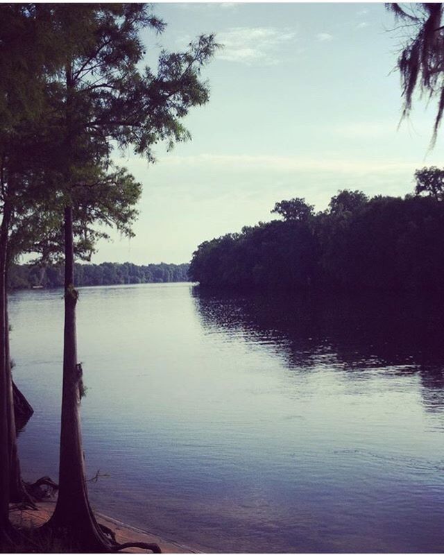 tree, water, tranquility, tranquil scene, sky, scenics, beauty in nature, lake, nature, reflection, silhouette, waterfront, idyllic, river, cloud, growth, rippled, cloud - sky, outdoors, no people