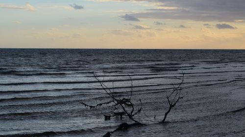 Scenic view of sea at sunset