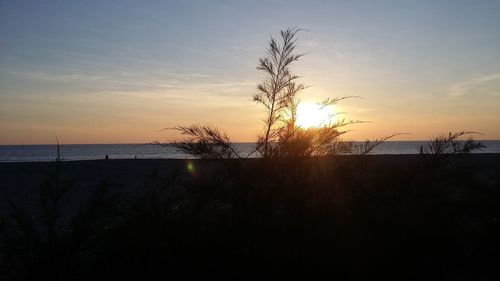 Silhouette tree by sea against sky during sunset