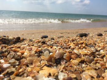 Surface level of stones on beach against sky