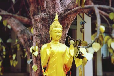 Golden buddha statue under tree outside tiger cave temple