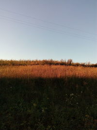 Field against clear sky