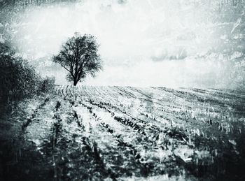 Scenic view of snow covered field against sky