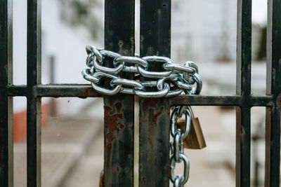 Close-up of padlock and chain on metal gate