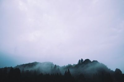 Silhouette trees in forest against sky