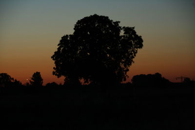 Silhouette trees on field against sky at sunset