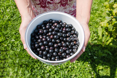 Cropped hands of woman holding blueberries