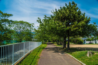 Trees by footpath against sky