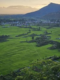 landscape