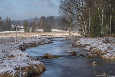 Scenic view of river stream in forest during winter