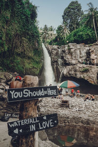 View of information sign against trees