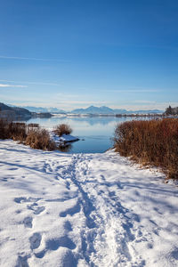 Beautiful winter nature at the lake wallersee, austria