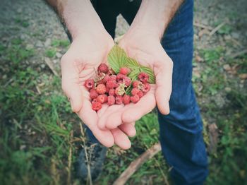 Midsection of man holding fruit