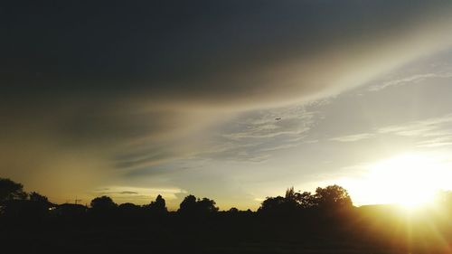 Silhouette trees against sky during sunset