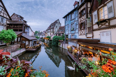 Potted plants by canal and buildings against sky