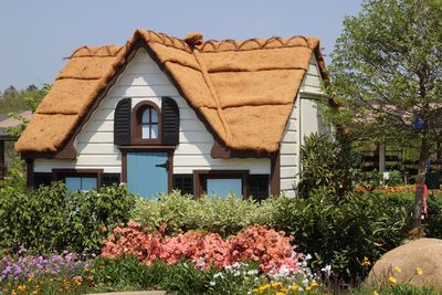 View of a cottage and plants against blue sky