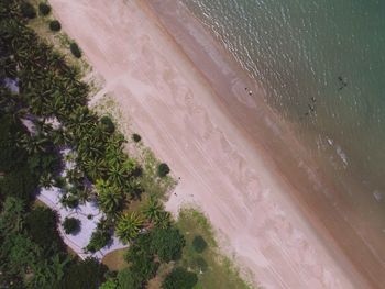 Aerial view of beach on sunny day