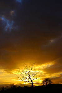 Silhouette bare tree against dramatic sky during sunset