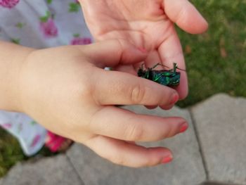 Close-up of hand holding hands