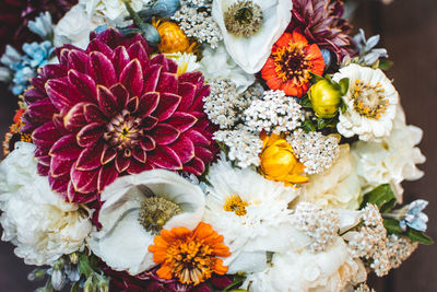 High angle view of various flowers on plant