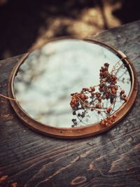 Close-up of dried plant on table