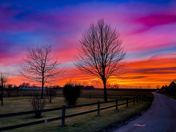 Silhouette bare trees by road against sky during sunset