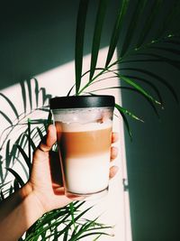 Cropped hand of woman holding disposable cup against wall