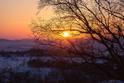 Silhouette bare trees against sky during sunset