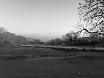 Scenic view of field against clear sky