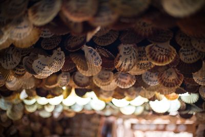 Low angle view of illuminated lanterns hanging in market