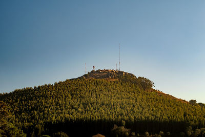 Panoramic view of agricultural field against clear sky