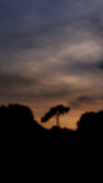 Silhouette of trees against dramatic sky